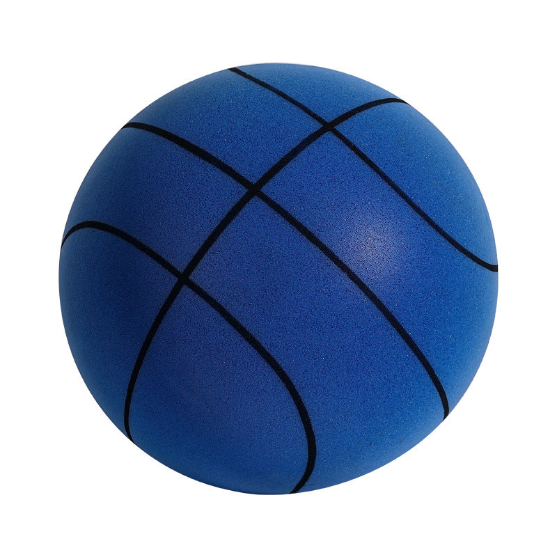 Indoor Silent Basketball