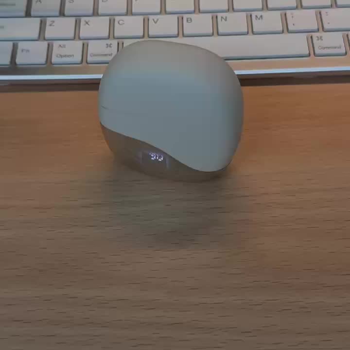 Smart AI Translation Earbuds