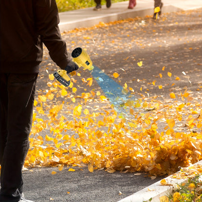 Cordless Turbo Leaf Blower