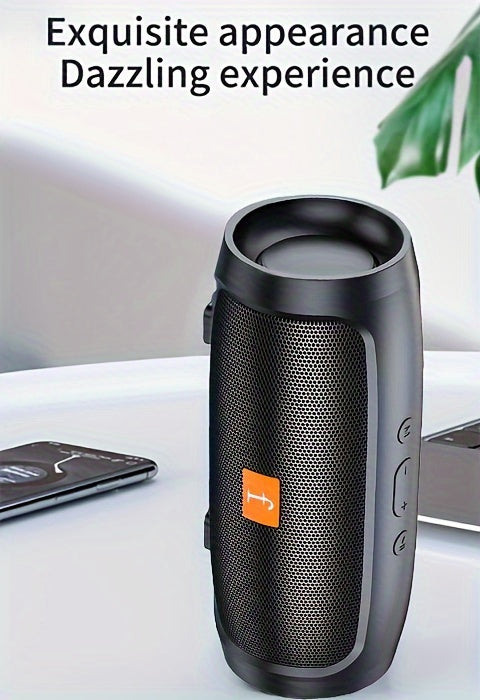 F524 Wireless Dual Channel Speaker