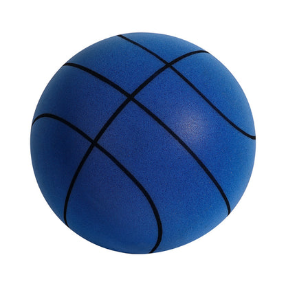 Indoor Silent Basketball