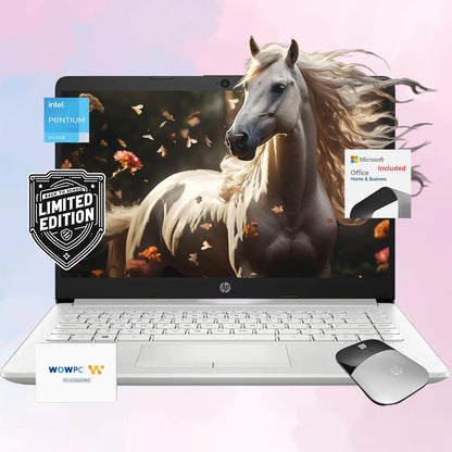 HP 14" StudyPro Laptop Bundle | 1TB SSD + Office 365 | Long Battery Life