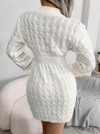 Casual Knit Waist Cinched Bodycon Sweater Dress