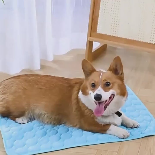 5-Color Cooling Mat for Dogs & Cats