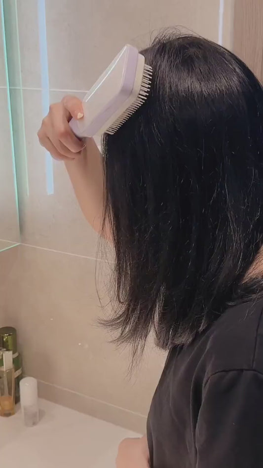 4 In 1 Self Cleaning Hair Brush